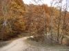 dsc00066
