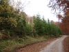 dsc00078