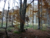 dsc00080