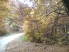 dsc00084