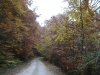 dsc00086