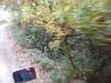 dsc00087