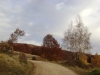 dsc00090