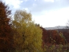 dsc00092