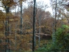 dsc00094