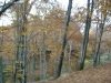 dsc00095
