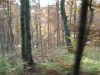 dsc00097