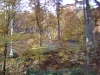 dsc00101