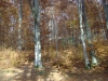 dsc00107