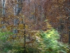 dsc00111