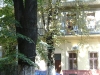 dsc00032