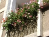 dsc00035